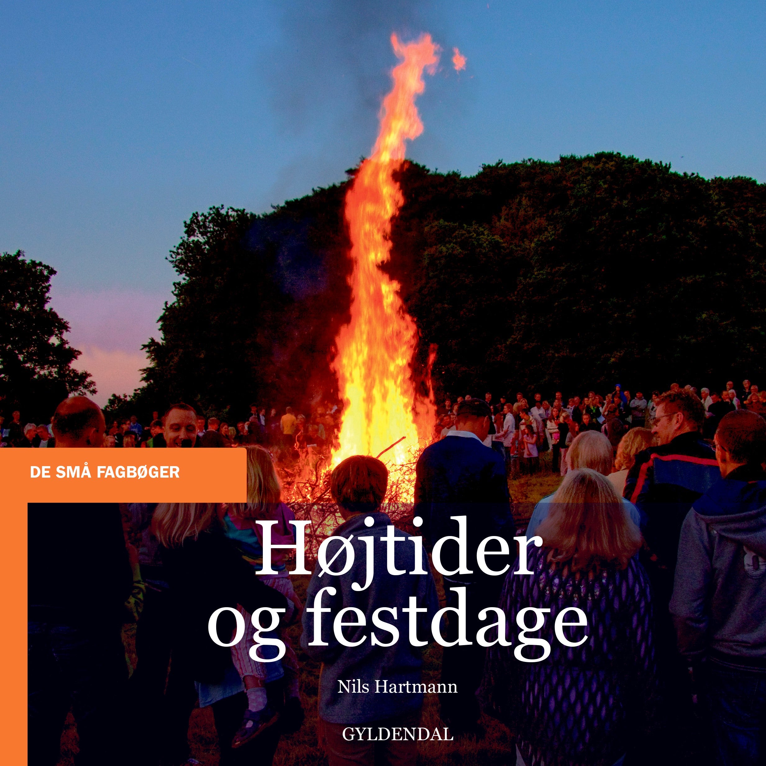 Forside billede